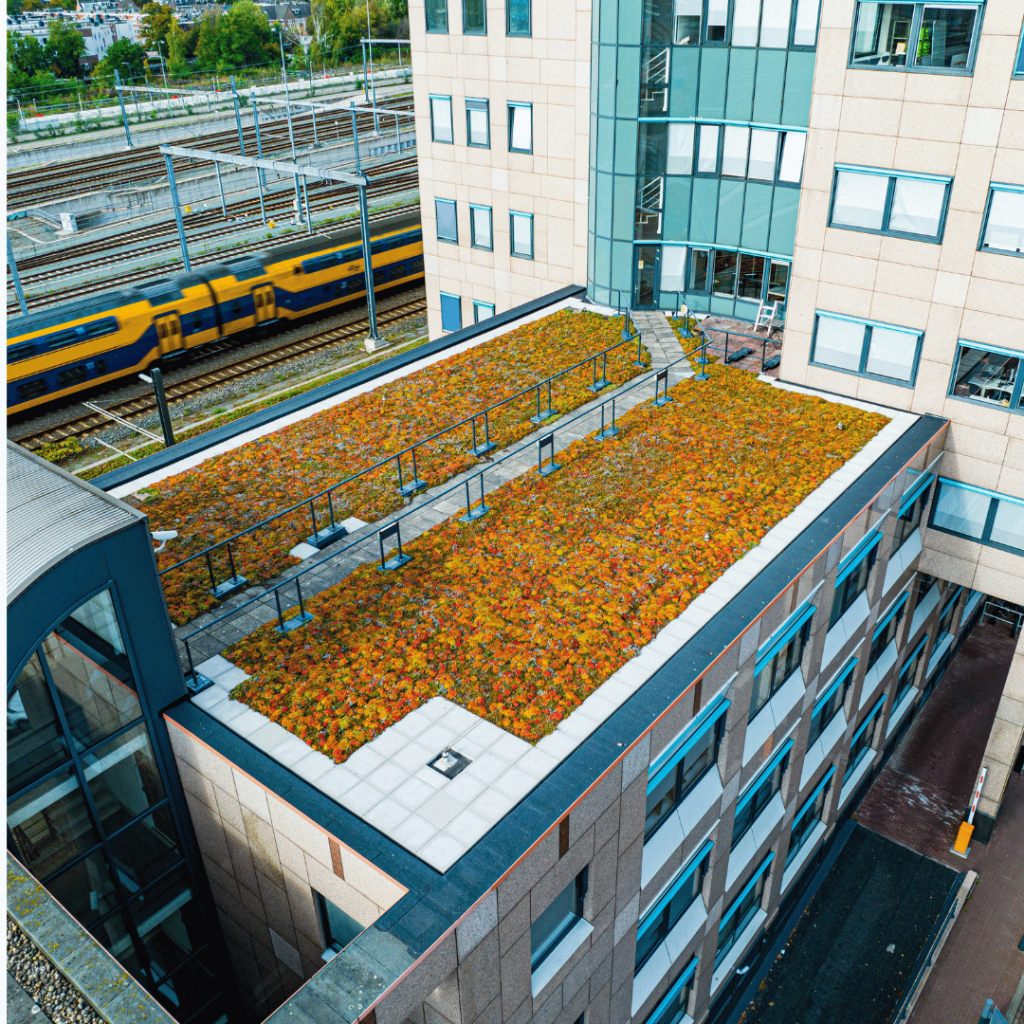 Vacature vestigingsmanager Elro